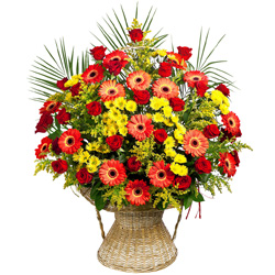 Цветы для женщин Красногорска от Кондрашкина Александра в Международный женский день!